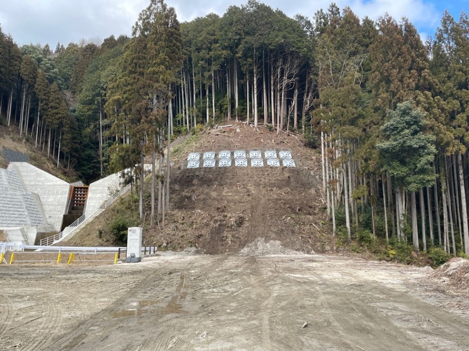 2025.3月度