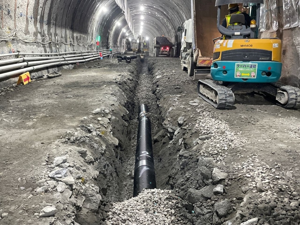 2025.11月度 2025.11月度